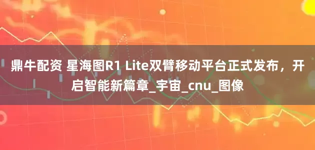鼎牛配资 星海图R1 Lite双臂移动平台正式发布，开启智能新篇章_宇宙_cnu_图像