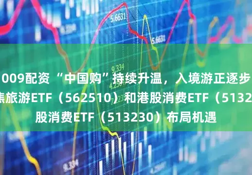 009配资 “中国购”持续升温，入境游正逐步“下沉”，聚焦旅游ETF（562510）和港股消费ETF（513230）布局机遇