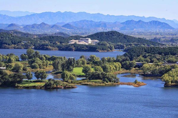 云管家 忘掉悲和喜，前路有花香