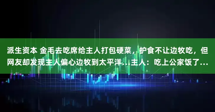 派生资本 金毛去吃席给主人打包硬菜，护食不让边牧吃，但网友却发现主人偏心边牧到太平洋…主人：吃上公家饭了…